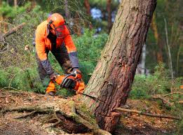 Mulching Services in Baker, LA